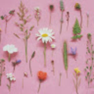 Meet your Posher, Molly